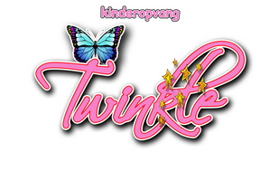 Kinderopvang Twinkle